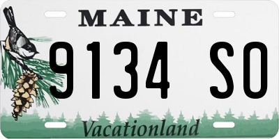 ME license plate 9134SO