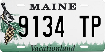 ME license plate 9134TP