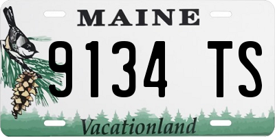 ME license plate 9134TS