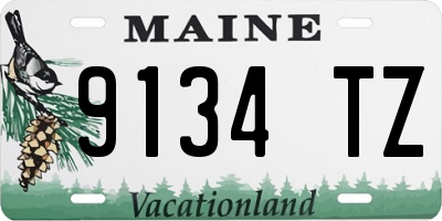 ME license plate 9134TZ