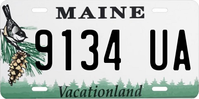 ME license plate 9134UA