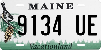 ME license plate 9134UE