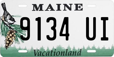 ME license plate 9134UI