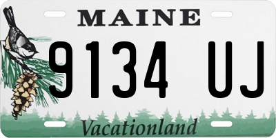 ME license plate 9134UJ