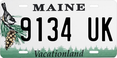 ME license plate 9134UK