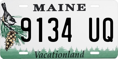 ME license plate 9134UQ