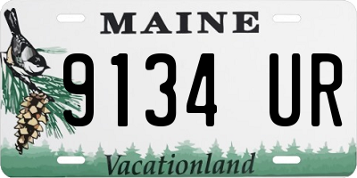 ME license plate 9134UR