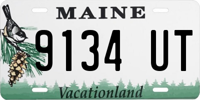 ME license plate 9134UT