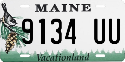 ME license plate 9134UU