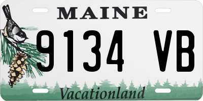 ME license plate 9134VB