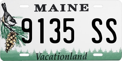 ME license plate 9135SS