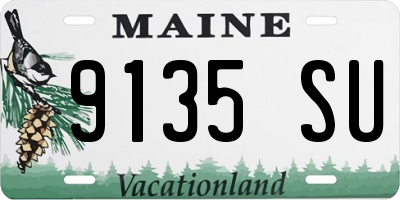 ME license plate 9135SU