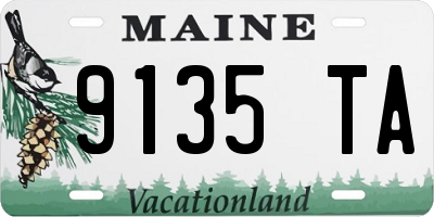 ME license plate 9135TA