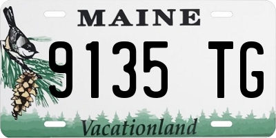 ME license plate 9135TG