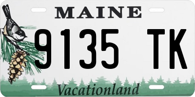 ME license plate 9135TK