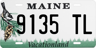ME license plate 9135TL