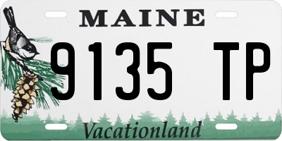 ME license plate 9135TP