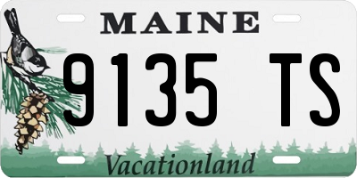 ME license plate 9135TS