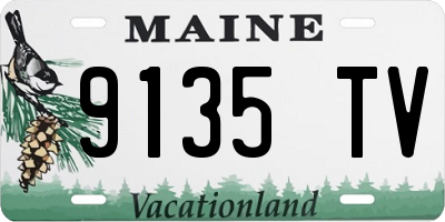 ME license plate 9135TV