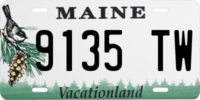 ME license plate 9135TW