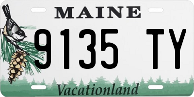 ME license plate 9135TY