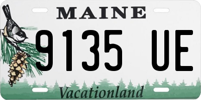 ME license plate 9135UE
