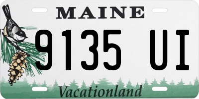 ME license plate 9135UI