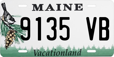 ME license plate 9135VB