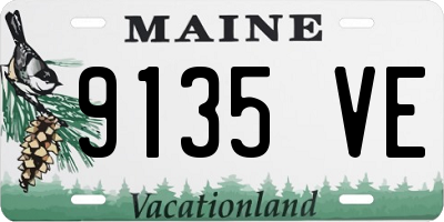ME license plate 9135VE