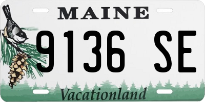 ME license plate 9136SE