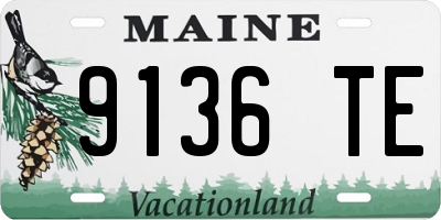 ME license plate 9136TE
