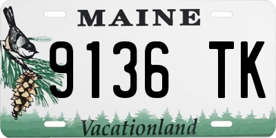 ME license plate 9136TK
