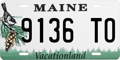 ME license plate 9136TO
