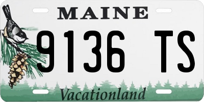 ME license plate 9136TS