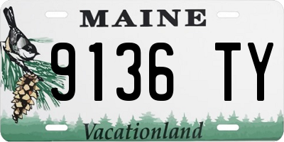 ME license plate 9136TY
