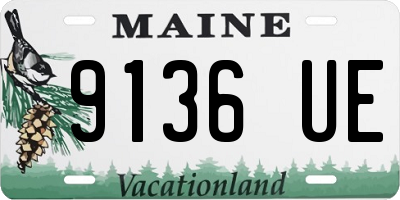 ME license plate 9136UE