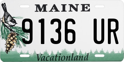 ME license plate 9136UR