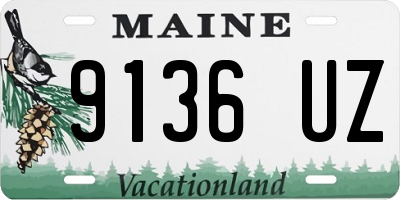 ME license plate 9136UZ