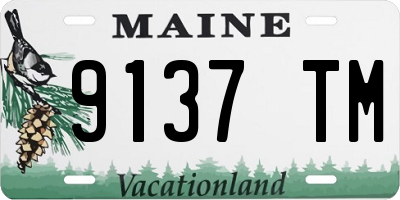 ME license plate 9137TM