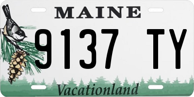 ME license plate 9137TY