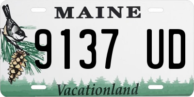 ME license plate 9137UD