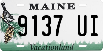 ME license plate 9137UI