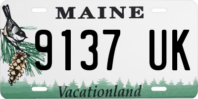 ME license plate 9137UK