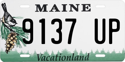 ME license plate 9137UP