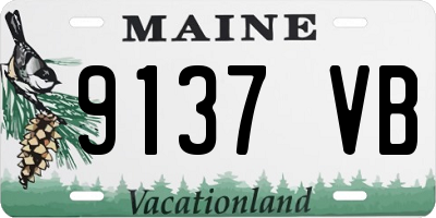 ME license plate 9137VB