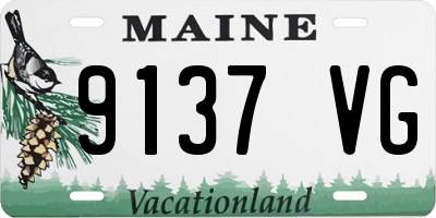 ME license plate 9137VG