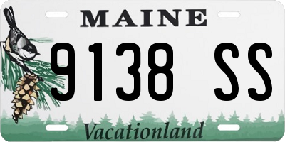 ME license plate 9138SS