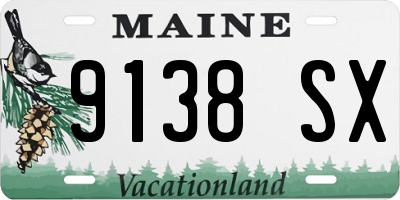 ME license plate 9138SX