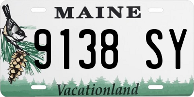 ME license plate 9138SY