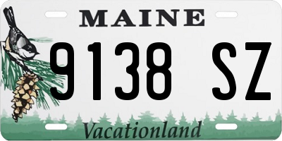 ME license plate 9138SZ
